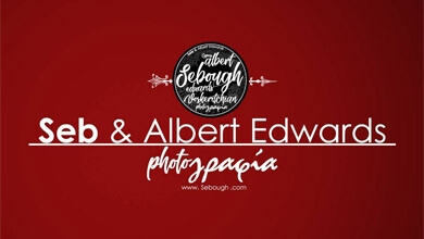 Albert Studio Logo